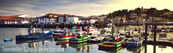 Bien vieillir en charente maritime : un territoire ideal pour les seniors